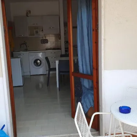 Brain Apartment